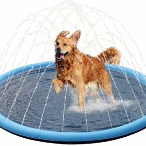 Piscina Portátil para Mascotas