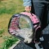 Maleta de viaje, plegable para mascotas - Image 4