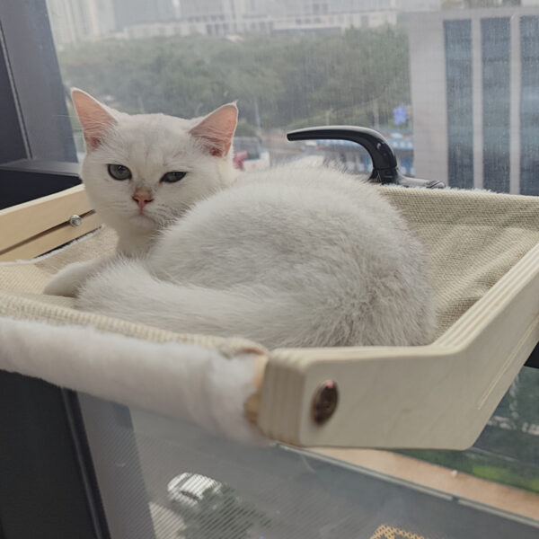 Hamaca de madera portátil para gato - Image 5